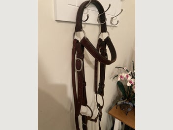 Image 1 of 11