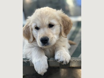 Image 1 of 20