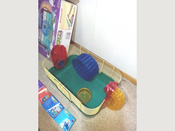 Image 1 of 4