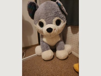 Image 1 of 1