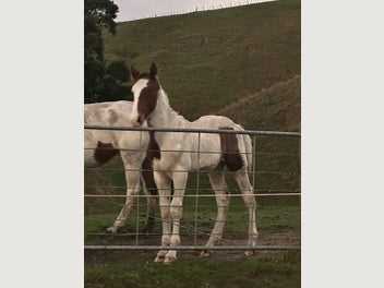 Image 1 of 8