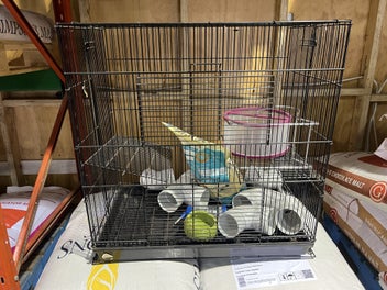 Image 1 of 1
