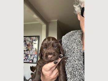 Image 1 of 13