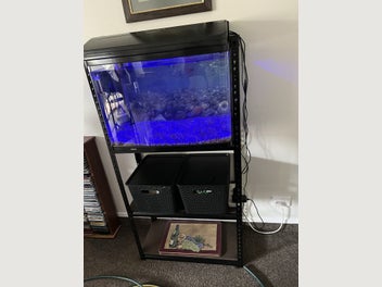 Image 1 of 10