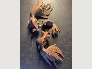 Image 1 of 17