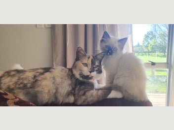 Image 1 of 14