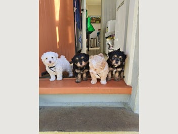 Image 1 of 7