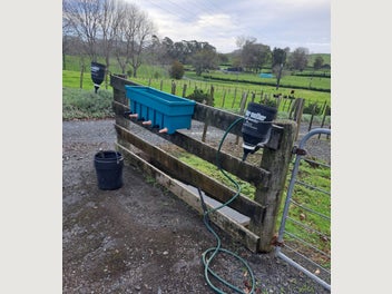 Image 1 of 5