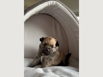 Image 1 of 7