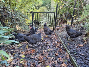 Image 1 of 6