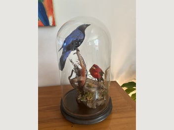 Image 1 of 5