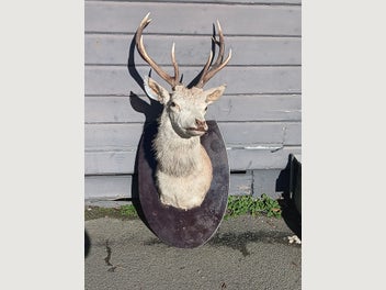 Image 1 of 11