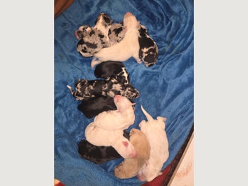Image 1 of 19