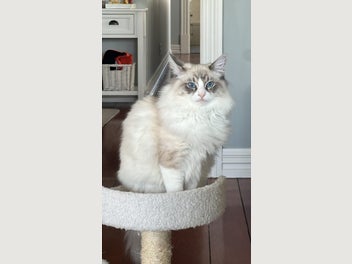 Image 1 of 8