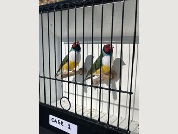 Image 1 of 17