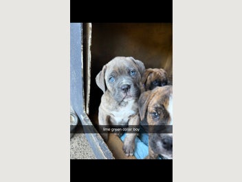 Image 1 of 12
