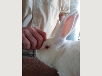 Image 1 of 8