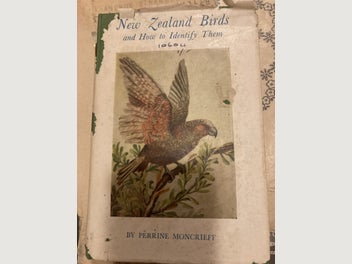 Image 1 of 5