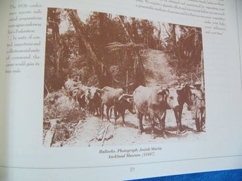 Image 1 of 8