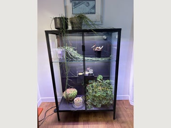 Image 1 of 16