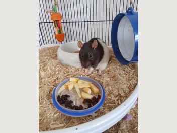 Image 1 of 5