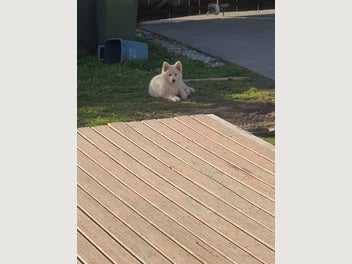 Image 1 of 20