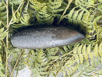 Image 1 of 16