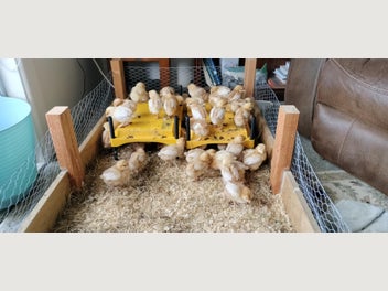Image 1 of 3