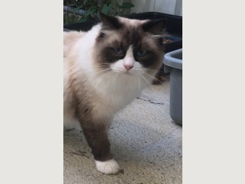 Image 1 of 5