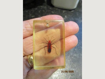 Image 1 of 2