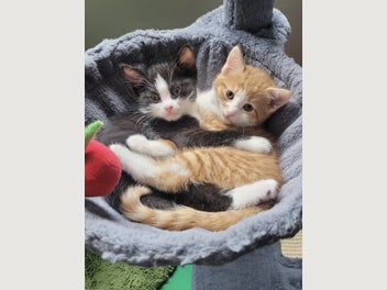 Image 1 of 20