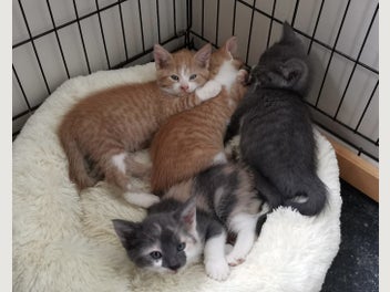 Image 1 of 20