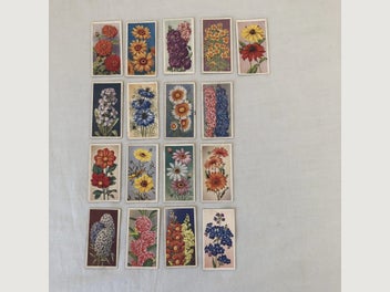 Image 1 of 13