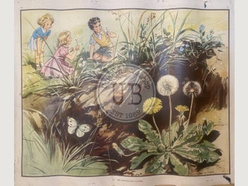 Image 1 of 5