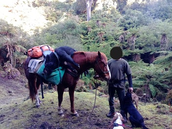 Image 1 of 6
