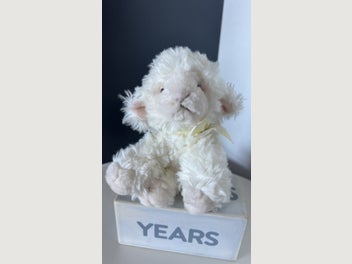 Image 1 of 5