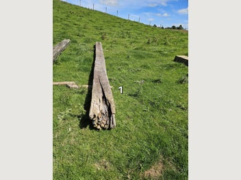 Image 1 of 11