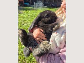 Image 1 of 5