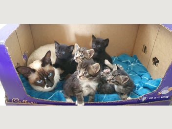Image 1 of 5