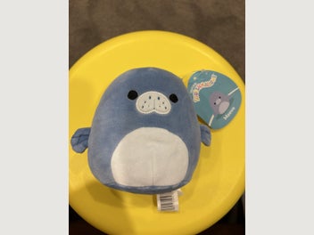 Image 1 of 7