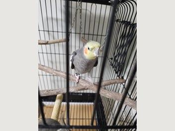 Image 1 of 12