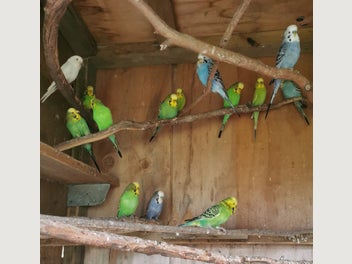 Image 1 of 13