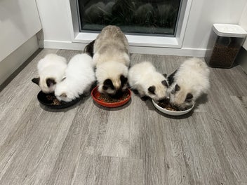 Image 1 of 14
