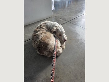 Image 1 of 13