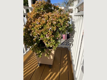 Image 1 of 9
