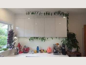 Image 1 of 8