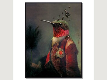 Image 1 of 7