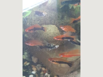 Image 1 of 5