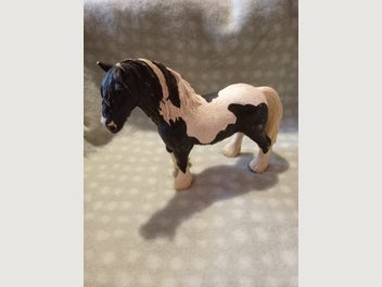 Image 1 of 8