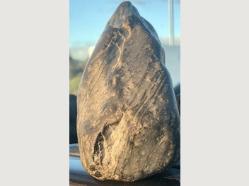 Image 1 of 7